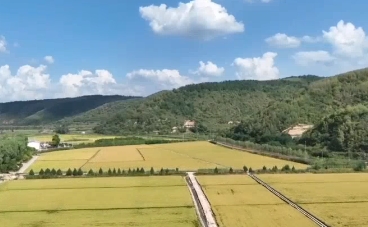 每日大赛